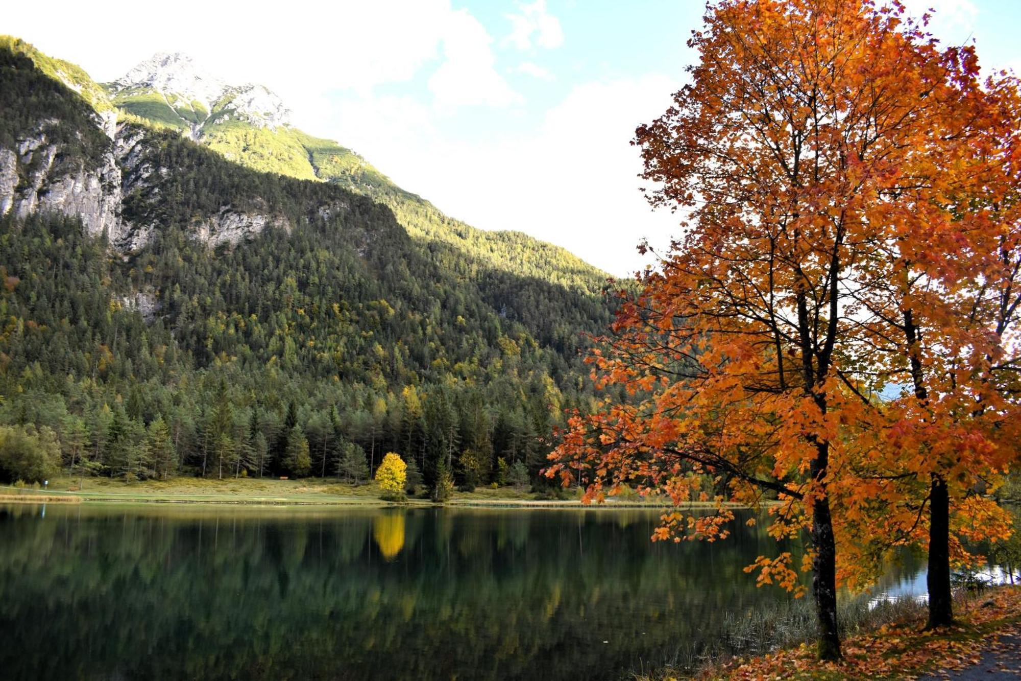 Ferienwohnung Saalbach Fieberbrunn Zewnętrze zdjęcie