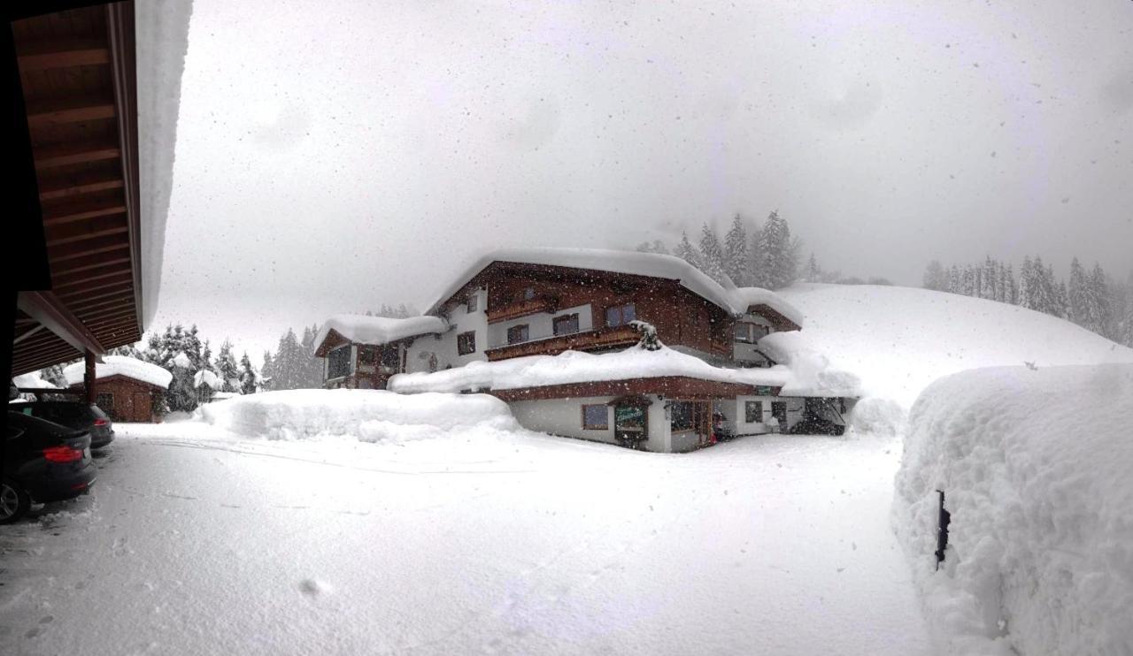 Ferienwohnung Saalbach Fieberbrunn Zewnętrze zdjęcie